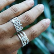 Wild About Silver Rings Fall 2016