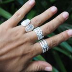 Wild About Silver Rings Fall 2016